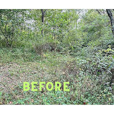 Brush-mowing-with-Ventrac-tractor 1
